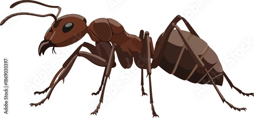 Detailed Illustration of an Ant A Close-Up Study of a Common Insect