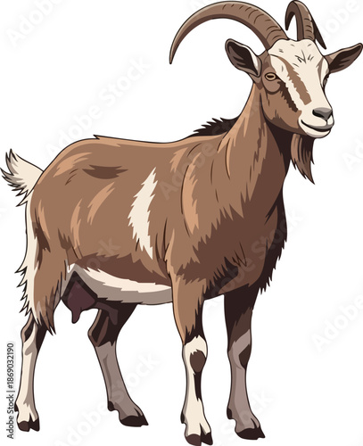 Illustration of a brown and white goat standing on a white background, perfect for educational content