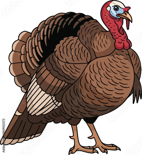 Illustration of a detailed brown turkey, showcasing its feathers, wattle, and overall appearance on a white background