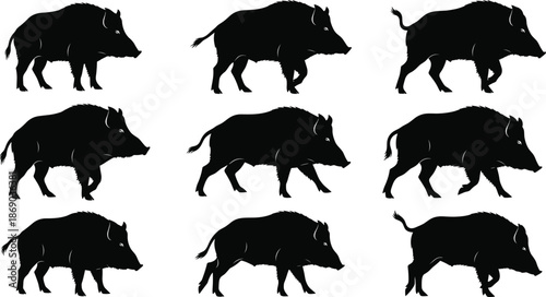 Set of wild boar silhouettes vector black pig and hog forest animals walking profile isolated on white background