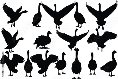 Set of wild goose silhouettes vector black waterfowl birds flock flying standing and walking isolated on white background