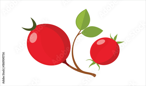 Red Rose Hips and Green Leaves on Branch, Isolated White Background, Flat Design