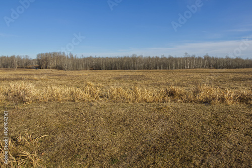 Elk Island in the Autumn