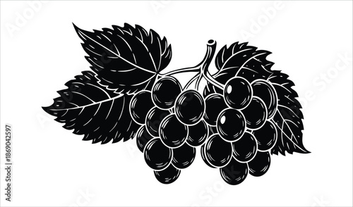 Black Grapes Bunch with Leaves, Stylized Vector Illustration
