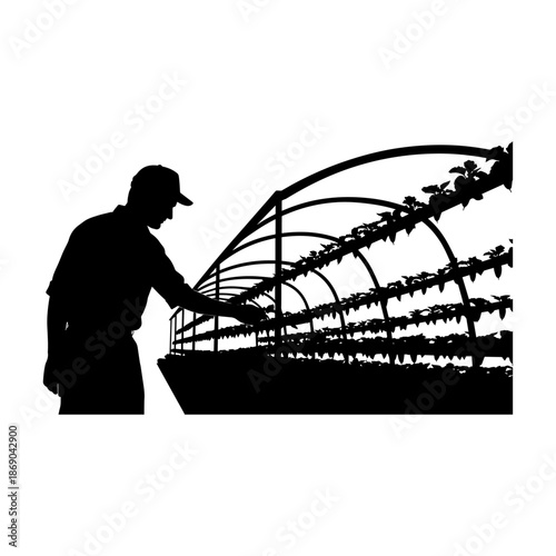 Worker Silhouette Inspecting Industrial Greenhouse Hydroponic Structure.