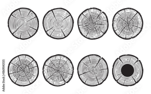 Set of tree trunk cross-section illustrations showing annual growth rings, cracks, and wood texture