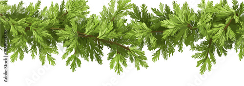 Zielona girlanda z igiełkowatych gałązek jodły lub świerku na przezroczystym tle, dekoracja świąteczna.