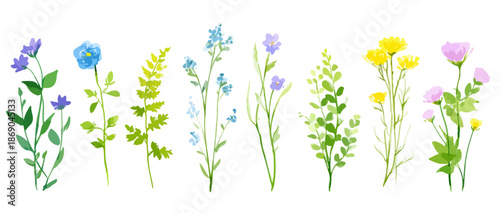 Aquarell-Illustration einer vielfältigen Sammlung von Wildblumen und Pflanzen in verschiedenen Farben und Formen, isoliert auf transparentem Hintergrund.