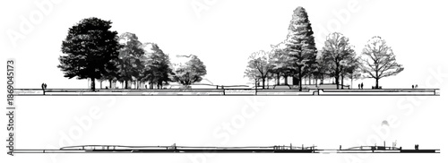 Handgezeichnete Schwarz-Weiß-Skizze einer Baumreihe, ideal als transparentes Designelement für Landschafts- und Architekturprojekte.