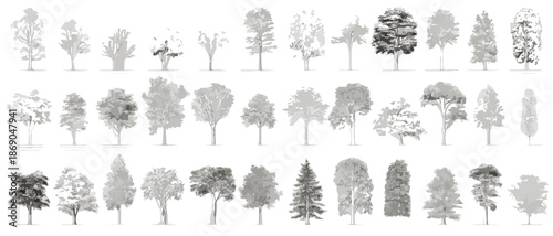 Grande collection d'arbres variés en silhouettes détaillées, idéales pour l'architecture et le design graphique, avec fond transparent.