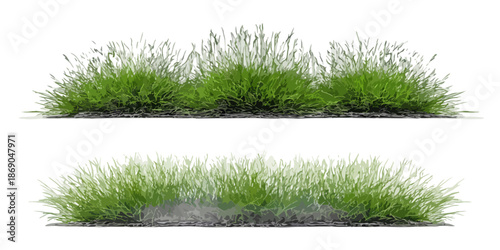 Herbe fraîche et verdoyante en deux sections distinctes, avec un fond transparent, parfaite pour les projets de design graphique et d'architecture.