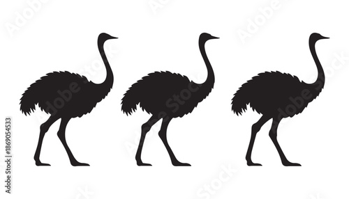 black color Ostrich set of silhouette vector illustration, solid white background