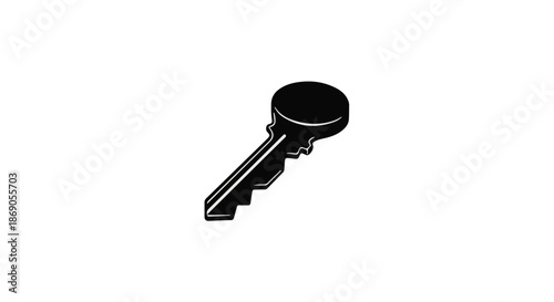 key isolated on white background
