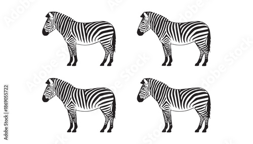 black color zebra set of silhouette vector illustration, solid white background