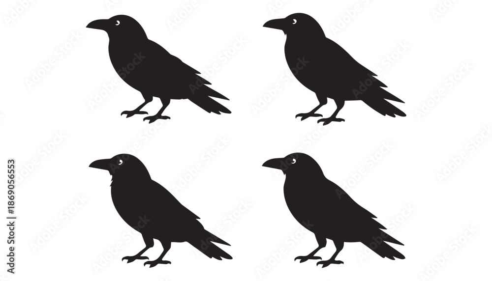 Obraz premium black color Crows set of silhouette vector illustration, solid white background