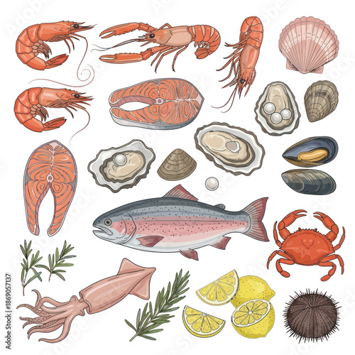 Adobe Illustrator Artwork