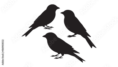 black color Swifts bird set of silhouette vector illustration, solid white background