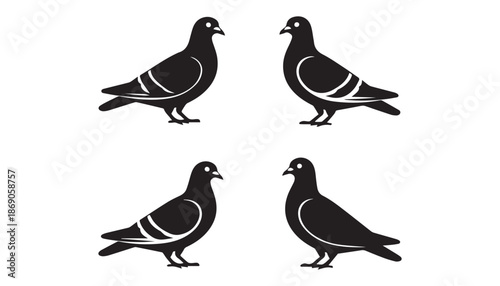 black color Columbidae bird set of silhouette vector illustration, solid white background