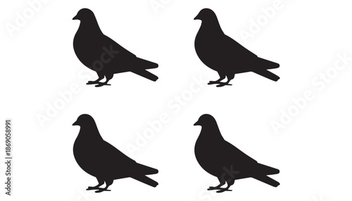 black color Columbidae bird set of silhouette vector illustration, solid white background