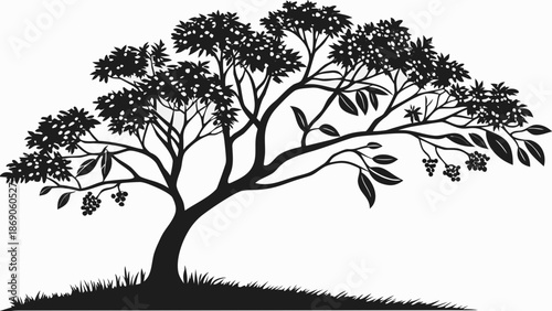 Stylized Silhouette of a Small Clove Spice Tree with Berries, Vector Illustration for Logo Design