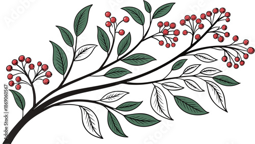 Botanical Mini Tree Illustration with Clove Flowers and Round Berries for Spice Packaging Design