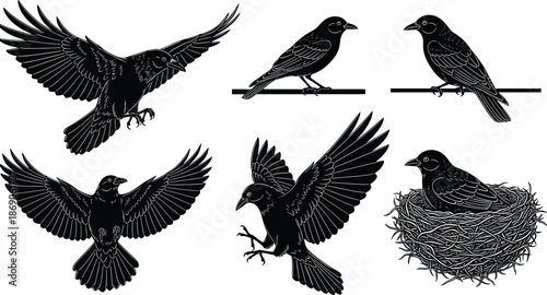 Black silhouette vector set of crows and ravens in flight, perched on branches, and sitting in nest, bird wildlife icons.