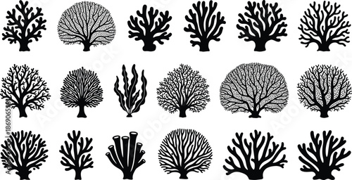 Collection of coral and seaweed silhouettes featuring ocean reef plants, marine branches, underwater foliage and decorative aquatic elements for nature design projects