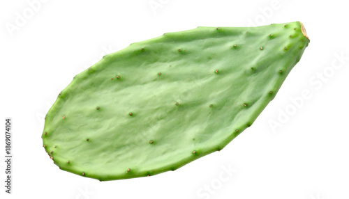 Isolated, flat green cactus pad with small red dots, set against a black background