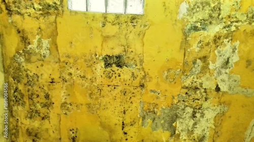 Damp and moldy wall texture caused by excess moisture and standing water inside buildings. This background highlights water damage, humidity problems, and unhealthy indoor conditions
