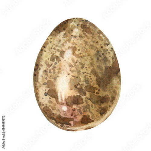 Watercolor Easter quail egg isolated on white background. Celebration food for spring menu. Beige brown clipart with new life of bird. Hand-drawn element for cookbook and wallpaper or wrapping