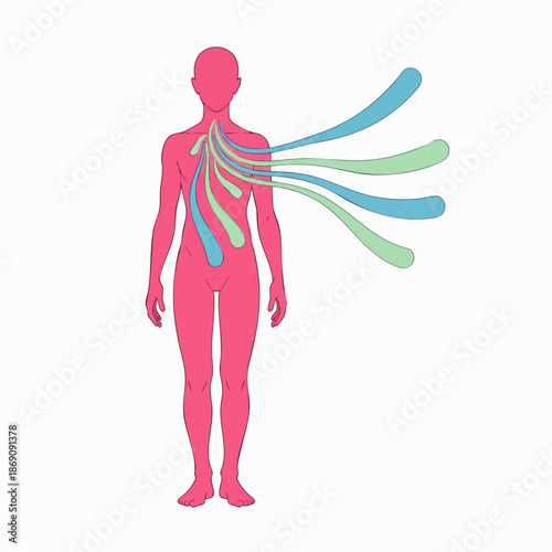 Vibrant abstract illustration depicting a human figure with dynamic energy streams flowing from the chest, symbolizing health, emotions, and inner vitality.