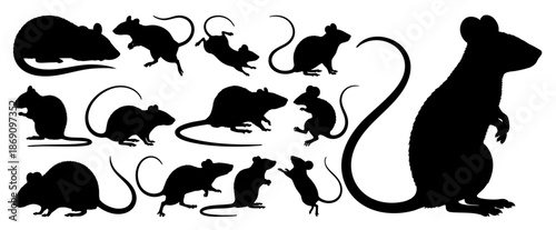 Mouse and Rat Silhouettes Collection in Various Poses on Transparent Background