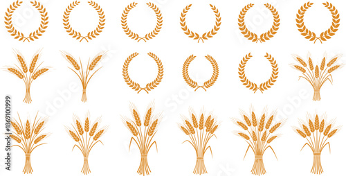 Wheat or barley ears. Harvest wheat grain, growth rice stalk and bread grains isolated vector set. Harvest wheat grain, growth rice stalk and whole bread grains. Agriculture. Transparent EPS version.