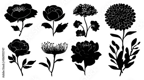 Kolekcja czarnych sylwetek kwiatów, idealna do projektów graficznych, wzorów i dekoracji, na przezroczystym tle.