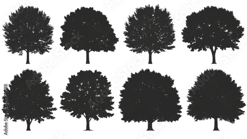 Collection of Different Types of Lush Green Tree Silhouettes