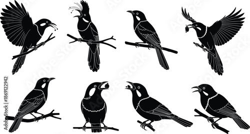 Detailed bird silhouette collection featuring wild birds perched on branches, flying with berries, and songbird icons for nature wildlife and conservation vector illustration