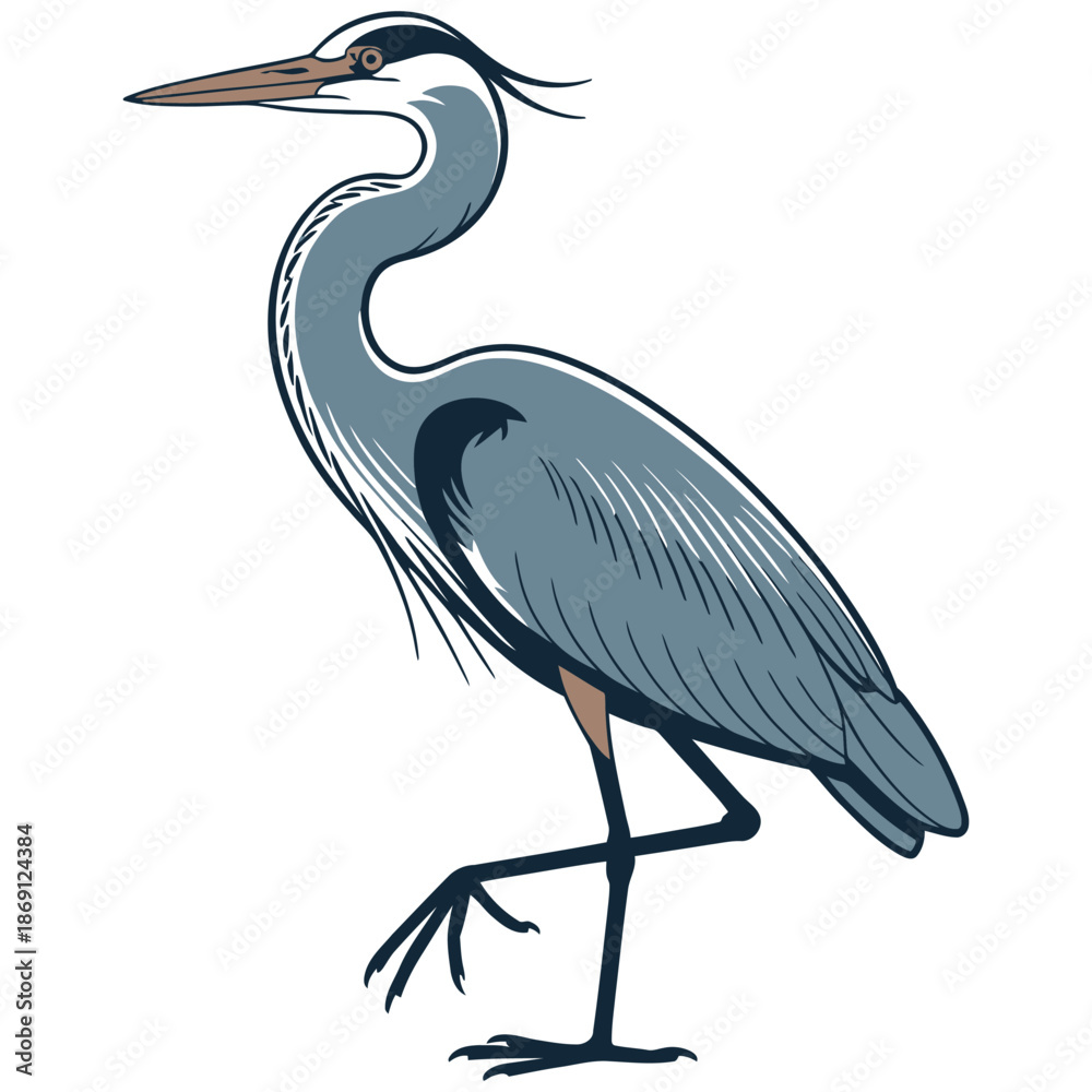 Fototapeta premium great blue heron