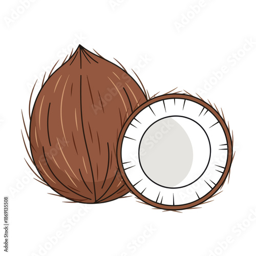 Whole and Halved Coconut illustration