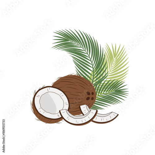 Whole and Halved Coconut with Palm Leaves - Tropical Fruit Illustration