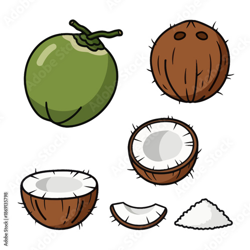 Fresh Coconut Collection: Whole, Halved, Sliced, and Shredded