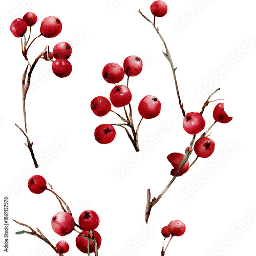 red berries on a branch