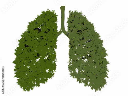 A conceptual illustration of lungs shaped like a lush green tree