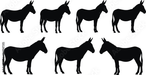 Donkey silhouette set, black mule animal shapes, farm livestock icons, isolated vector style, rural agriculture design collection
