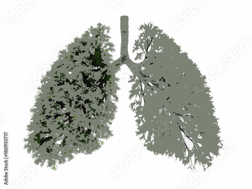 Lungs shaped like a tree symbolizing breath and the natural world