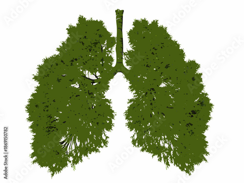 Lungs shaped like a tree representing the connection between nature and health