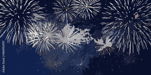 A vibrant display of fireworks illuminating the dark night sky