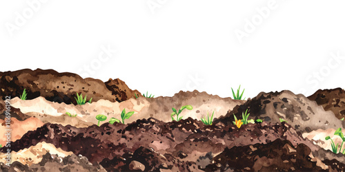 Watercolor illustration of young green sprouts emerging from Soil vector illutrastion transparent background