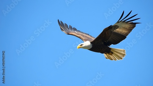 subjugating. Eagle soaring high in clear sky with sharp gaze focused on ground movement. wildlife magazines, conservation campaigns, designed for wildlife conservation campaigns.
