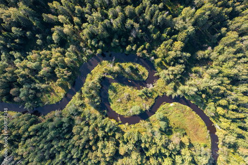 Aerial View meander of the river Through a Lush Forest