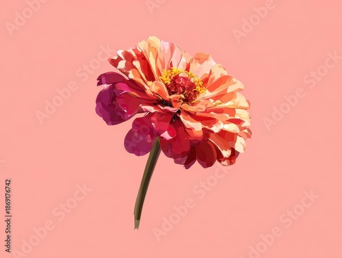 Vibrant Flower with Soft Pink Background Display